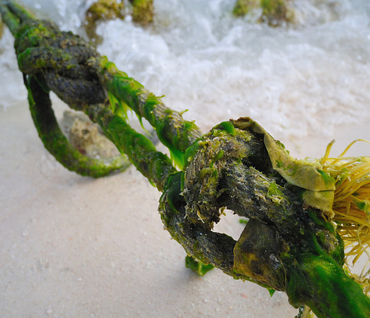 A green knot