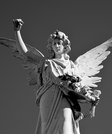 Clipped Wings