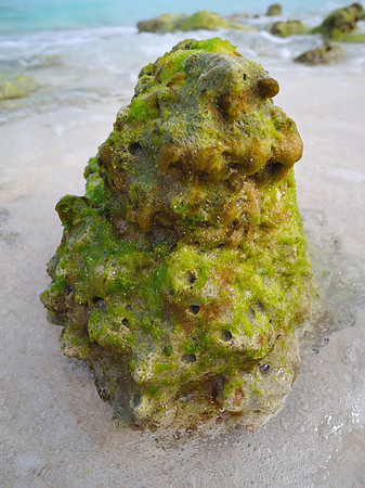 A green rock