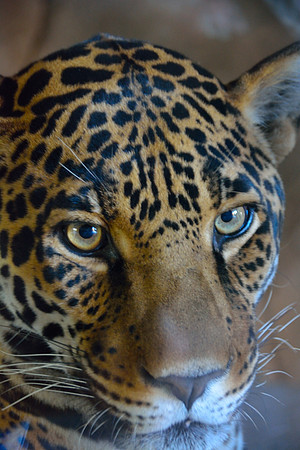 up close and personal